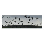 Flying Birds Photo Bookmark business cards