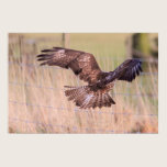 Flying Buzzard Print
