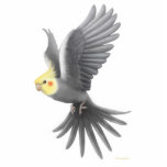 Flying Cockatiel Holiday Ornament