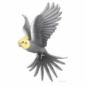 Flying Cockatiel Holiday Ornament photo sculptures