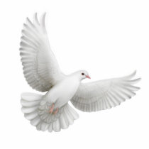 Flying Dove Ornament