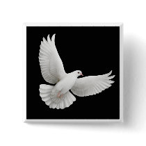 Flying Dove Pin