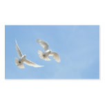 Flying doves business cards
