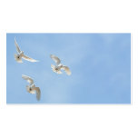 Flying doves business cards