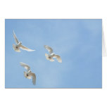 Flying doves cards
