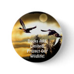 FLYING DUCKS buttons
