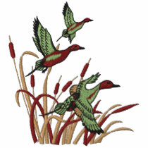 Flying Ducks
