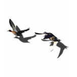 FLYING DUCKS t-shirts