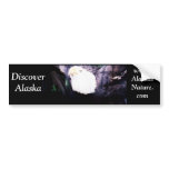 Flying Eagle Bumper Stickers