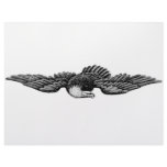 FLYING EAGLE flyers