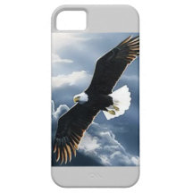 Flying Eagle iPhone 5 Cases