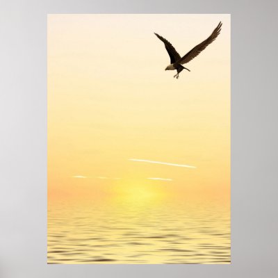 Flying Eagle Posters