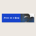 Flying Egret bumper stickers