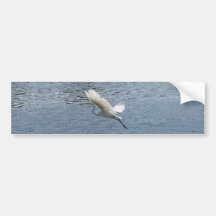 Flying Egret Bumper Sticker