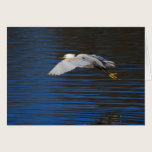 Flying Egret cards