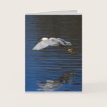 Flying Egret cards