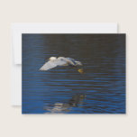 Flying Egret invitations