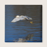 Flying Egret magnets