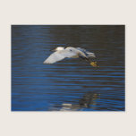 Flying Egret postcards