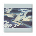 Flying Fish magnets