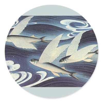 Flying Fish Round Stickers by Tchotchke