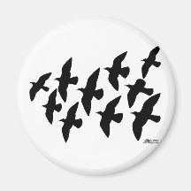 Flying Flight Pigeons Fridge Magnet