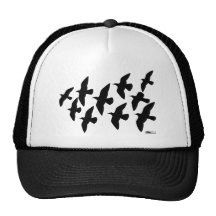 Flying Flight Pigeons Hats