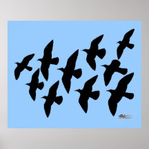Flying Flight Pigeons Poster