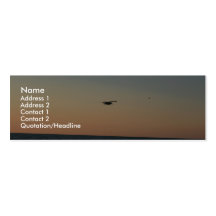 Flying Free Business Cards