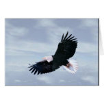 Flying Free cards