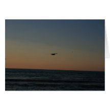 Flying Free Greeting Card