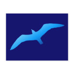 Flying Gull Postcard