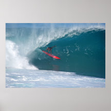 Flying Hawaiian Print