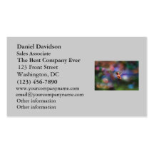 Flying Hummingbird and Colorful Background Business Card