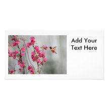 Flying Hummingbird and Flowers Photo Card
