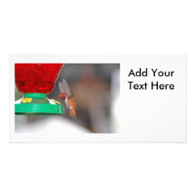 Flying Hummingbird and Hummingbird Feeder Custom Photo Card