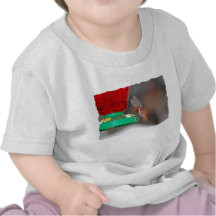 Flying Hummingbird and Hummingbird Feeder Shirts