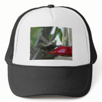 flying hummingbird mesh hats