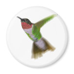 Flying Hummingbird magnets