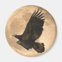 Flying Juvenile EAGLE & FULL MOON Wildlife Magnet