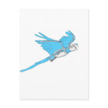 Flying macaw skeleton postcards