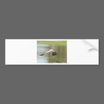 Flying over water bumper stickers