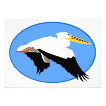 Flying Pelican in Blue Oval Personalised Announcement