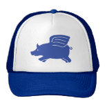 Flying Pig Hat - Blue