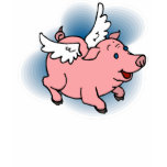 Flying Pig Kid's Tees - Matching Shoes! t-shirts