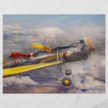 Flying Pig - Plane -The joy ride Flyers