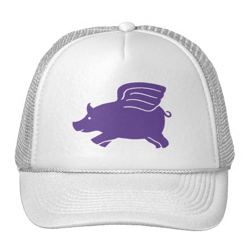 Flying Pig  -  Purple Hats