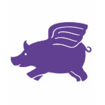 Flying Pig  -  Purple t-shirts