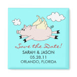 Flying Pig Save the Dates, Red & Tiffany Blue magnets
