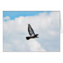 Flying Pigeon On Sky Greeting Card